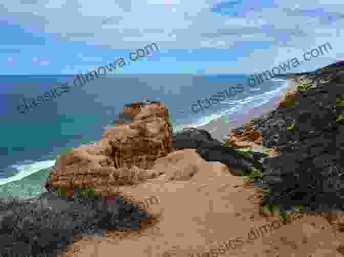 Torrey Pines State Natural Reserve, With Sandstone Cliffs And Crashing Waves Moon San Diego (Travel Guide)