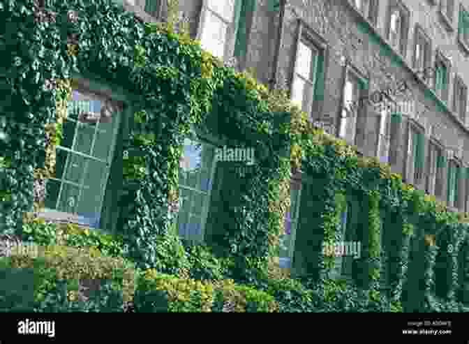 Trinity College Dublin, An Ivy Covered Building With A Large Bell Tower Top 20 Things To See And Do In Dublin Top 20 Dublin Travel Guide (Europe Travel 44)