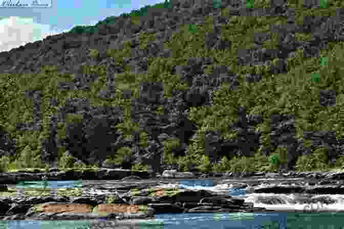 Tygart Valley River In Barbour County West Virginia Barbour County West Virginia Fishing Floating Guide Book: Complete Fishing And Floating Information For Barbour County West Virginia (West Virginia Fishing Floating Guide Books)