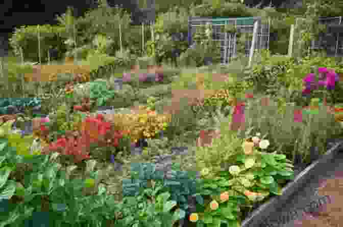 Vibrant And Flourishing Organic Garden Blooming With Diverse Flora And Fauna. Backyard Vegetable Garden Ideas: Creating A Self Sustaining Organic Garden: Gardening Guide