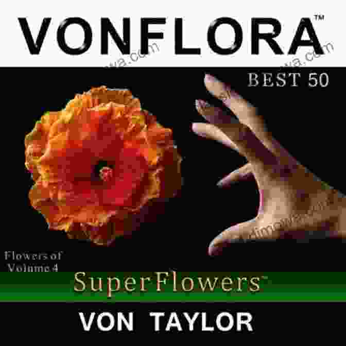 Vibrant Vonflora Superflowers VONFLORA SuperFlowers: Best 50 Flowers Of Volume 3