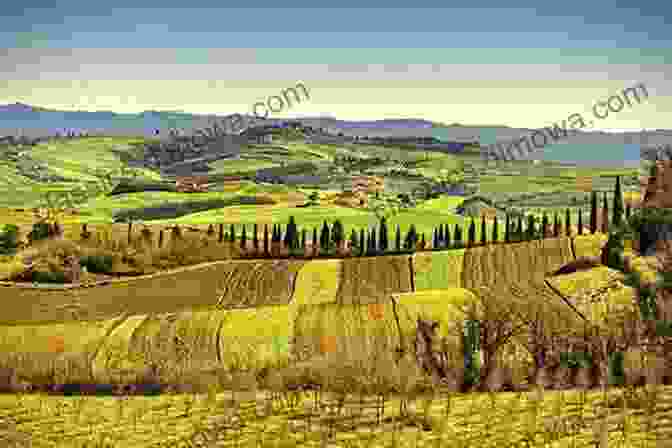 Vineyards And Rolling Hills In The Picturesque Tuscan Countryside Travel International Magazine January 2024