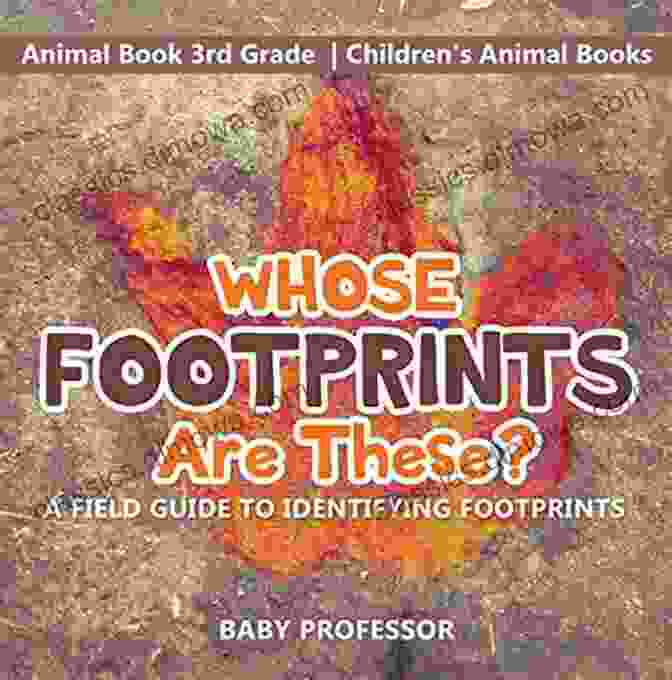 Whose Footprints Are These? Field Guide To Identifying Footprints Animal 3rd Whose Footprints Are These? A Field Guide To Identifying Footprints Animal 3rd Grade Children S Animal