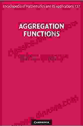 Aggregation Functions (Encyclopedia of Mathematics and its Applications 127)