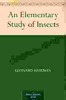 An Elementary Study Of Insects