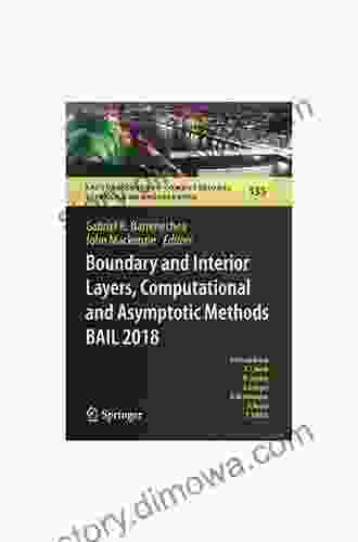 Boundary and Interior Layers Computational and Asymptotic Methods BAIL 2024 (Lecture Notes in Computational Science and Engineering 108)