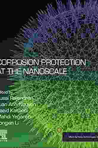 Corrosion Protection At The Nanoscale (Micro And Nano Technologies)