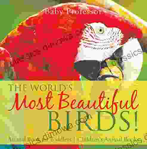 The World S Most Beautiful Birds Animal For Toddlers Children S Animal