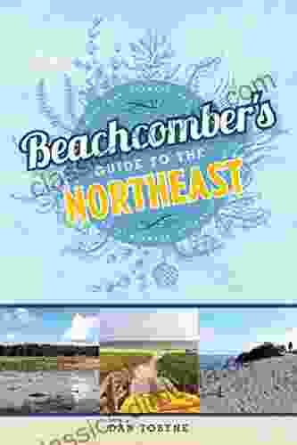 Beachcomber S Guide To The Northeast