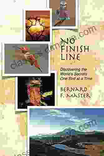 No Finish Line: Discovering The World S Secrets One Bird At A Time