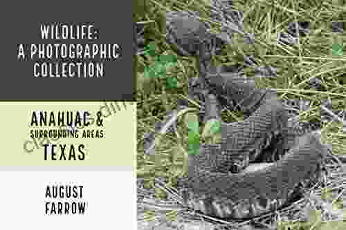 Wildlife: A Photographic Collection: Anahuac Surrounding Areas: Texas (Wildlife: Anahuac Surrounding Areas: Texas)