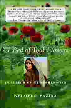 A Bed Of Red Flowers: In Search Of My Afghanistan