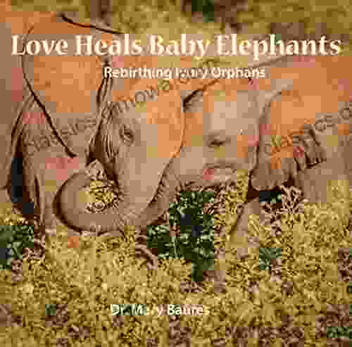 Love Heals Baby Elephants: Rebirthing Ivory Orphans