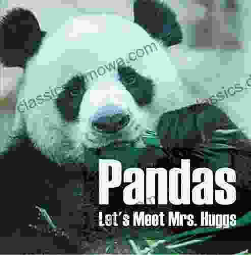 Pandas Let s Meet Mrs Huggs: Panda Bears for Kids (Children s Bear Books)