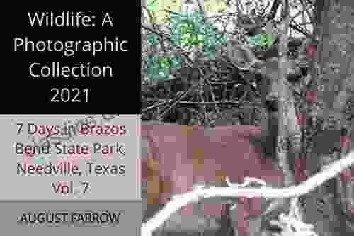 Wildlife: 7 Days In Brazos Bend State Park Needville Texas 2024 Vol 7: A Photographic Collection (Wildlife: Brazos Bend State Park Texas)