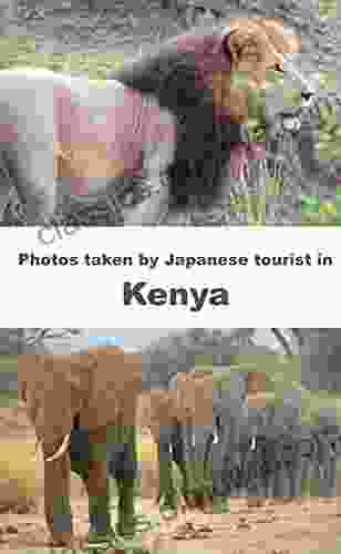 Photos Taken By Japanese Tourist In Kenya