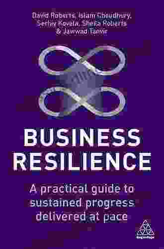 Business Resilience: A Practical Guide to Sustained Progress Delivered at Pace