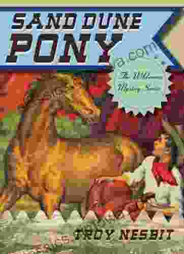 Sand Dune Pony (The Wilderness Mystery Series)