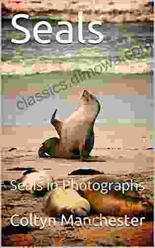 Seals: Seals in Photographs Jonathan Balcombe