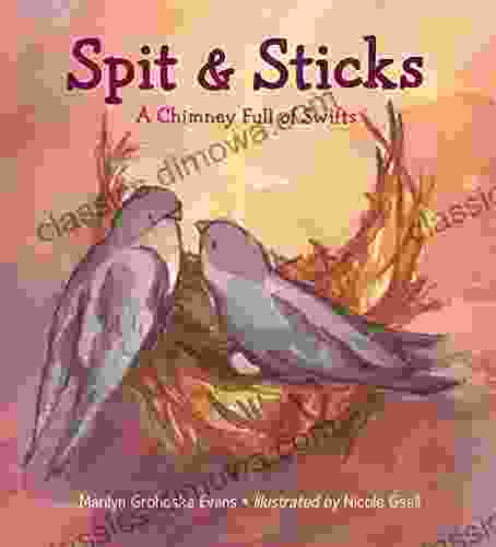 Spit Sticks: A Chimney Full Of Swifts