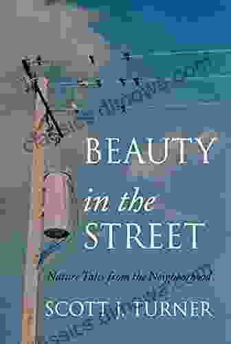 Beauty in the Street: Nature Tales from the Neighborhood