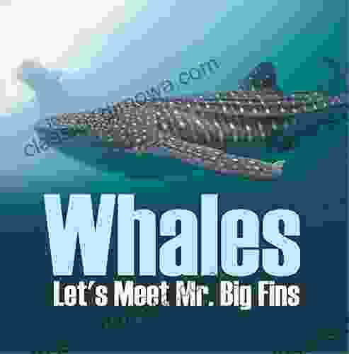 Whales Let S Meet Mr Big Fins: Whales Kids (Children S Fish Marine Life Books)